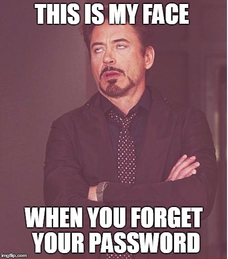 Face You Make Robert Downey Jr Meme | THIS IS MY FACE WHEN YOU FORGET YOUR PASSWORD | image tagged in memes,face you make robert downey jr | made w/ Imgflip meme maker