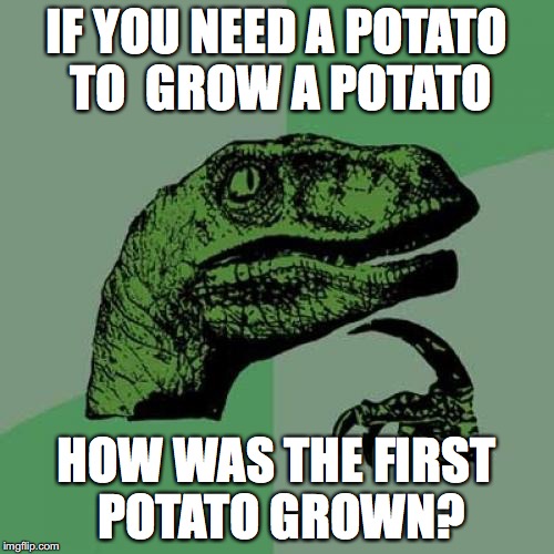 Philosoraptor | IF YOU NEED A POTATO TO  GROW A POTATO HOW WAS THE FIRST POTATO GROWN? | image tagged in memes,philosoraptor | made w/ Imgflip meme maker