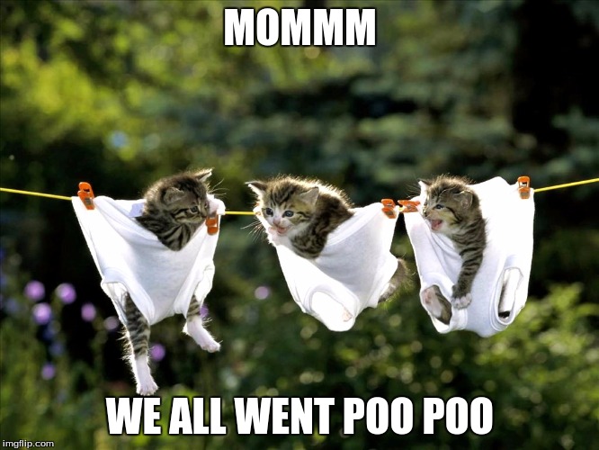 we need change | MOMMM WE ALL WENT POO POO | image tagged in we need change | made w/ Imgflip meme maker