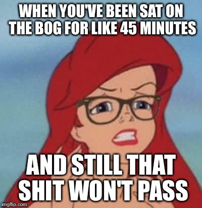 Hipster Ariel | WHEN YOU'VE BEEN SAT ON THE BOG FOR LIKE 45 MINUTES AND STILL THAT SHIT WON'T PASS | image tagged in memes,hipster ariel,shit,funny,toilet humor | made w/ Imgflip meme maker