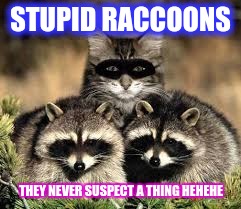 stealth | STUPID RACCOONS THEY NEVER SUSPECT A THING HEHEHE | image tagged in stealth | made w/ Imgflip meme maker