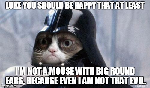Grumpy Cat Star Wars | LUKE YOU SHOULD BE HAPPY THAT AT LEAST I'M NOT A MOUSE WITH BIG ROUND EARS, BECAUSE EVEN I AM NOT THAT EVIL. | image tagged in memes,grumpy cat star wars,grumpy cat | made w/ Imgflip meme maker