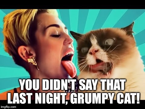 YOU DIDN'T SAY THAT LAST NIGHT, GRUMPY CAT! | made w/ Imgflip meme maker