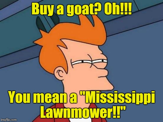 Futurama Fry Meme | Buy a goat? Oh!!! You mean a "Mississippi Lawnmower!!" | image tagged in memes,futurama fry | made w/ Imgflip meme maker