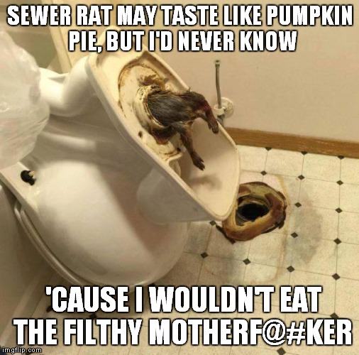 Jules is a genius | SEWER RAT MAY TASTE LIKE PUMPKIN PIE, BUT I'D NEVER KNOW 'CAUSE I WOULDN'T EAT THE FILTHY M0THERF@#KER | image tagged in sewer rat fink snitch piece of shi,pulp fiction,pumpkin | made w/ Imgflip meme maker