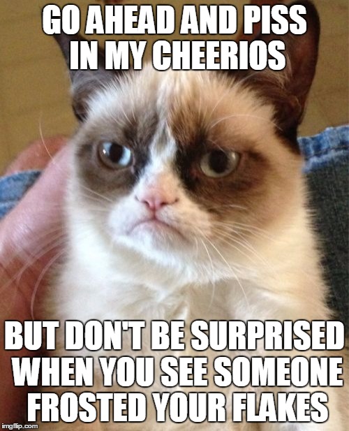 Grumpy Cat Meme | GO AHEAD AND PISS IN MY CHEERIOS BUT DON'T BE SURPRISED WHEN YOU SEE SOMEONE FROSTED YOUR FLAKES | image tagged in memes,grumpy cat | made w/ Imgflip meme maker