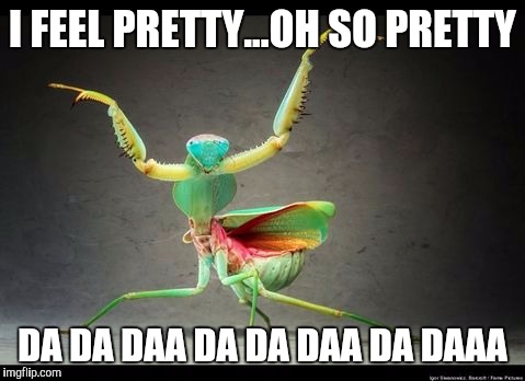 Pretty pretty girl | I FEEL PRETTY...OH SO PRETTY DA DA DAA DA DA DAA DA DAAA | image tagged in memes | made w/ Imgflip meme maker