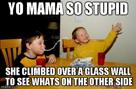 Yo Mamas So Fat | YO MAMA SO STUPID SHE CLIMBED OVER A GLASS WALL TO SEE WHATS ON THE OTHER SIDE | image tagged in memes,yo mamas so fat | made w/ Imgflip meme maker