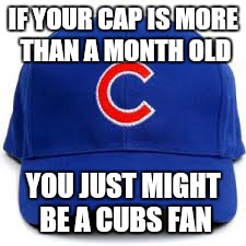 IF YOUR CAP IS MORE THAN A MONTH OLD YOU JUST MIGHT BE A CUBS FAN | image tagged in funny,funny memes,memes,sports,chicago cubs,losers | made w/ Imgflip meme maker
