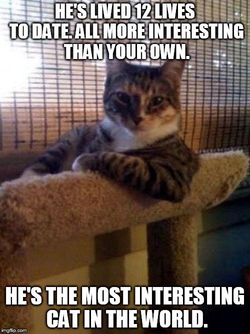 The Most Interesting Cat In The World Meme | HE'S LIVED 12 LIVES TO DATE. ALL MORE INTERESTING THAN YOUR OWN. HE'S THE MOST INTERESTING CAT IN THE WORLD. | image tagged in memes,the most interesting cat in the world | made w/ Imgflip meme maker