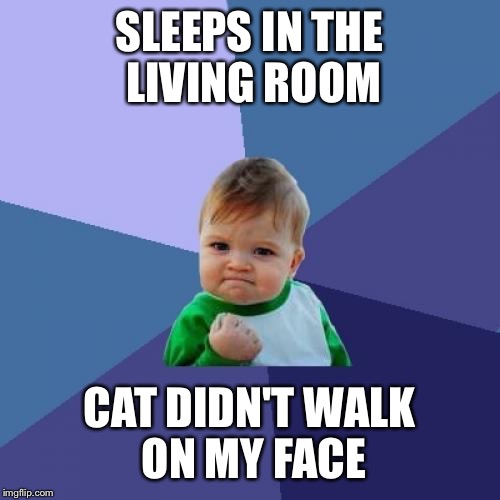 I Swear to God, Fluffy... | SLEEPS IN THE LIVING ROOM CAT DIDN'T WALK ON MY FACE | image tagged in memes,success kid,cats,cat | made w/ Imgflip meme maker
