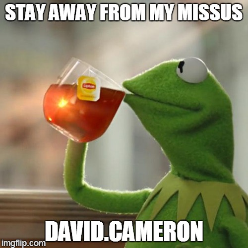 But That's None Of My Business Meme | STAY AWAY FROM MY MISSUS DAVID.CAMERON | image tagged in memes,but thats none of my business,kermit the frog | made w/ Imgflip meme maker