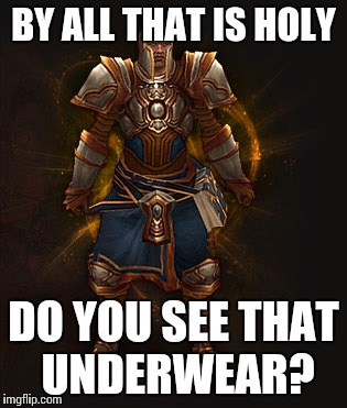 Underwear templar | BY ALL THAT IS HOLY DO YOU SEE THAT UNDERWEAR? | image tagged in diablo 3 | made w/ Imgflip meme maker