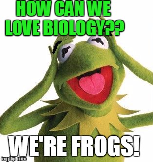 HOW CAN WE LOVE BIOLOGY?? WE'RE FROGS! | image tagged in scared kermit | made w/ Imgflip meme maker