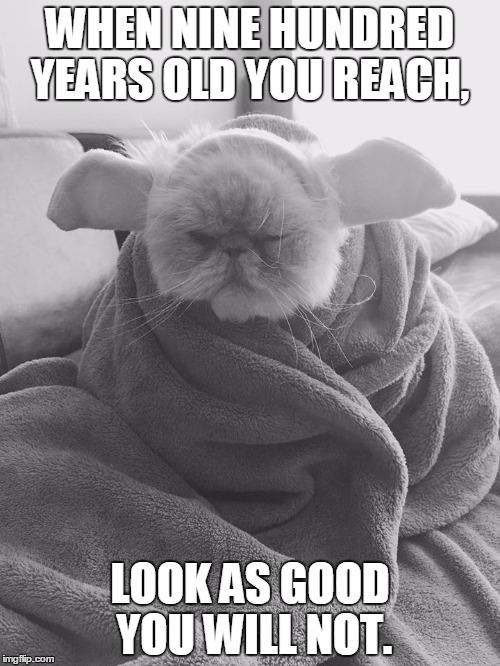 dozer yoda cat | WHEN NINE HUNDRED YEARS OLD YOU REACH, LOOK AS GOOD YOU WILL NOT. | image tagged in dozer yoda cat | made w/ Imgflip meme maker