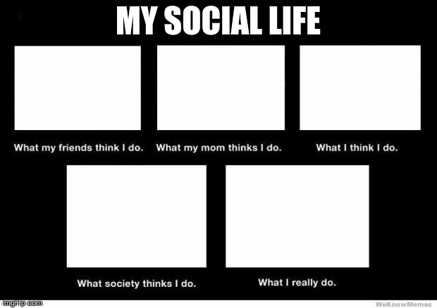 What I really do | MY SOCIAL LIFE | image tagged in what i really do | made w/ Imgflip meme maker