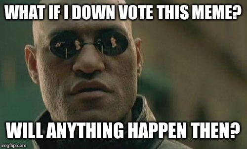 WHAT IF I DOWN VOTE THIS MEME? WILL ANYTHING HAPPEN THEN? | image tagged in memes,matrix morpheus | made w/ Imgflip meme maker