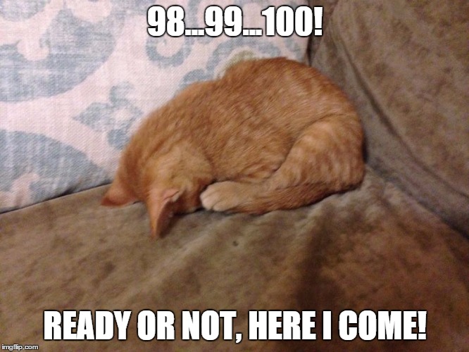 98...99...100! READY OR NOT, HERE I COME! | image tagged in mango mack | made w/ Imgflip meme maker