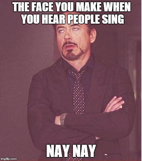 Face You Make Robert Downey Jr | THE FACE YOU MAKE WHEN YOU HEAR PEOPLE SING NAY NAY | image tagged in memes,face you make robert downey jr | made w/ Imgflip meme maker