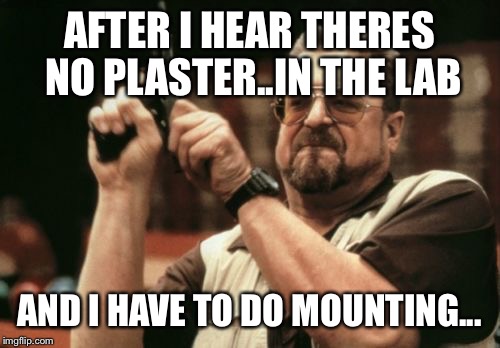 Am I The Only One Around Here Meme | AFTER I HEAR THERES NO PLASTER..IN THE LAB AND I HAVE TO DO MOUNTING... | image tagged in memes,am i the only one around here | made w/ Imgflip meme maker