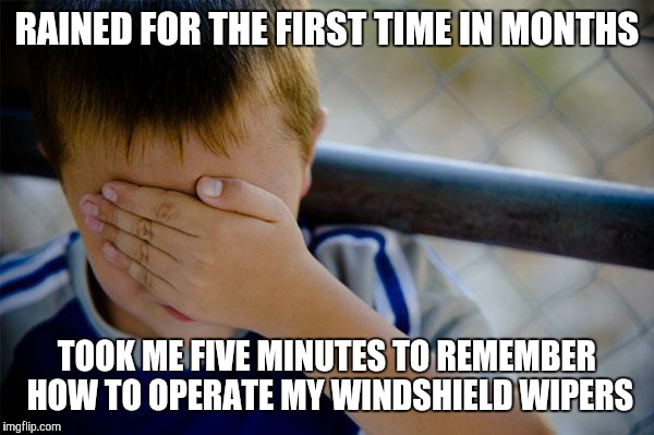 Confession Kid | RAINED FOR THE FIRST TIME IN MONTHS TOOK ME FIVE MINUTES TO REMEMBER HOW TO OPERATE MY WINDSHIELD WIPERS | image tagged in memes,confession kid | made w/ Imgflip meme maker