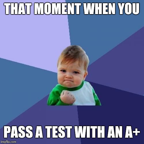 Success Kid | THAT MOMENT WHEN YOU PASS A TEST WITH AN A+ | image tagged in memes,success kid | made w/ Imgflip meme maker