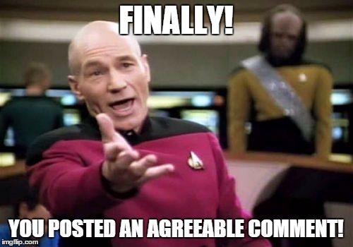 Picard Wtf Meme | FINALLY! YOU POSTED AN AGREEABLE COMMENT! | image tagged in memes,picard wtf | made w/ Imgflip meme maker