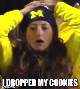 The Michigan game face | I DROPPED MY COOKIES | image tagged in stunned michigan fan | made w/ Imgflip meme maker