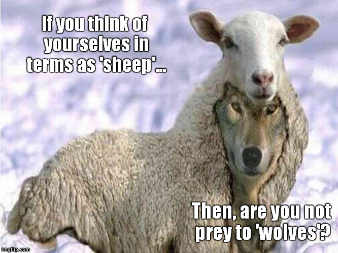 Flock Ewe!! | If you think of yourselves in terms as 'sheep'... Then, are you not prey to 'wolves'? | image tagged in memes,funny memes,religitards,ba-a-a,shaitans muse | made w/ Imgflip meme maker