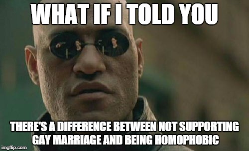 Matrix Morpheus | WHAT IF I TOLD YOU THERE'S A DIFFERENCE BETWEEN NOT SUPPORTING GAY MARRIAGE AND BEING HOMOPHOBIC | image tagged in memes,matrix morpheus | made w/ Imgflip meme maker