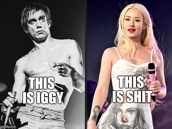 THIS IS IGGY THIS IS SHIT | image tagged in rock,iggy,real | made w/ Imgflip meme maker