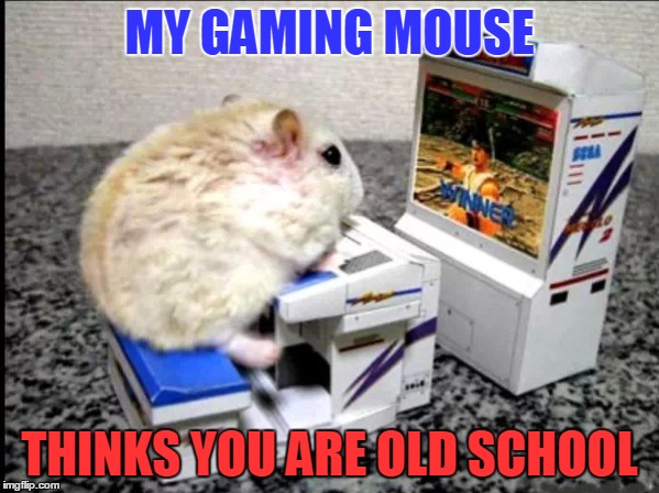 MY GAMING MOUSE THINKS YOU ARE OLD SCHOOL | image tagged in gaming,pc gaming,online gaming | made w/ Imgflip meme maker