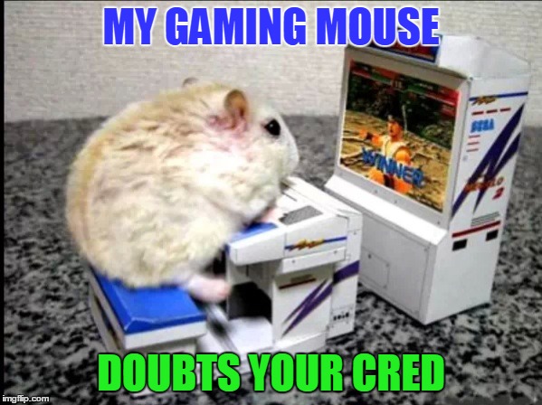 MY GAMING MOUSE DOUBTS YOUR CRED | image tagged in online gaming,gaming,pc gaming | made w/ Imgflip meme maker