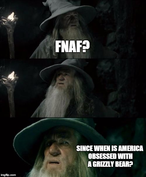 Confused Gandalf Meme | FNAF? SINCE WHEN IS AMERICA OBSESSED WITH A GRIZZLY BEAR? | image tagged in memes,confused gandalf | made w/ Imgflip meme maker