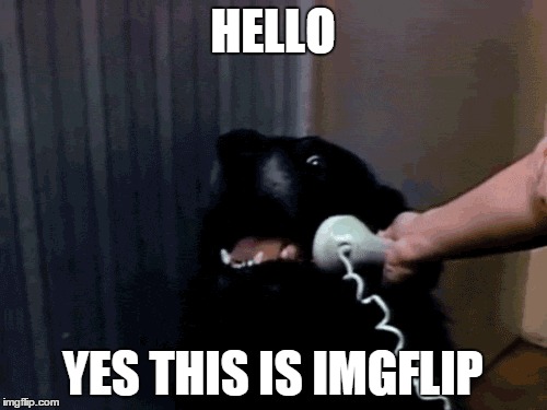 HELLO YES THIS IS IMGFLIP | made w/ Imgflip meme maker