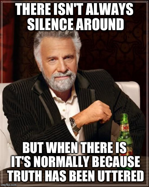 The Most Interesting Man In The World | THERE ISN'T ALWAYS SILENCE AROUND BUT WHEN THERE IS IT'S NORMALLY BECAUSE TRUTH HAS BEEN UTTERED | image tagged in memes,the most interesting man in the world | made w/ Imgflip meme maker