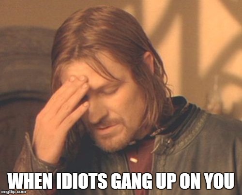 Frustrated Boromir Meme | WHEN IDIOTS GANG UP ON YOU | image tagged in memes,frustrated boromir | made w/ Imgflip meme maker