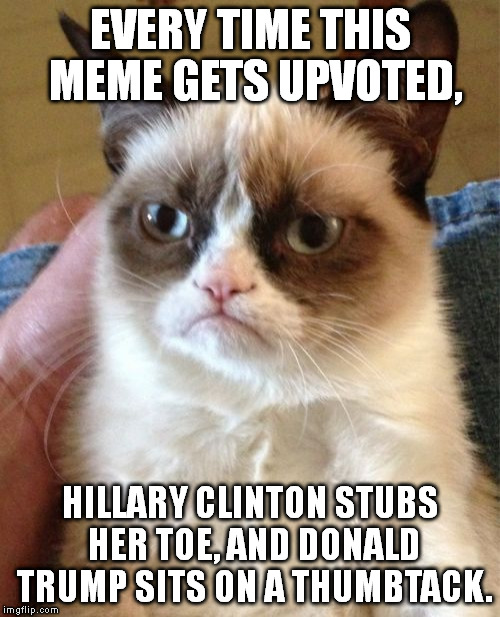 Grumpy Cat Meme | EVERY TIME THIS MEME GETS UPVOTED, HILLARY CLINTON STUBS HER TOE, AND DONALD TRUMP SITS ON A THUMBTACK. | image tagged in memes,grumpy cat | made w/ Imgflip meme maker