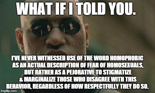 Matrix Morpheus Meme | WHAT IF I TOLD YOU. I'VE NEVER WITNESSED USE OF THE WORD HOMOPHOBIC AS AN ACTUAL DESCRIPTION OF FEAR OF HOMOSEXUALS, BUT RATHER AS A PEJORAT | image tagged in memes,matrix morpheus | made w/ Imgflip meme maker