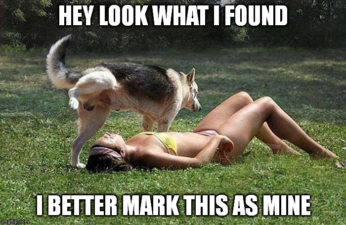 Looks like showers are moving in. | HEY LOOK WHAT I FOUND I BETTER MARK THIS AS MINE | image tagged in memes | made w/ Imgflip meme maker