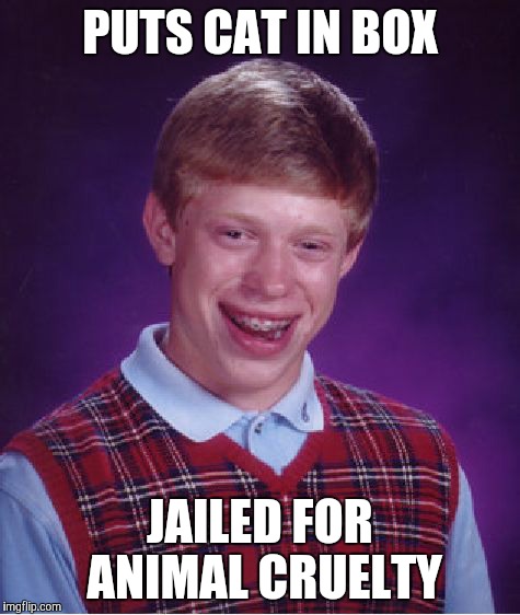 Bad Luck Brian Meme | PUTS CAT IN BOX JAILED FOR ANIMAL CRUELTY | image tagged in memes,bad luck brian | made w/ Imgflip meme maker