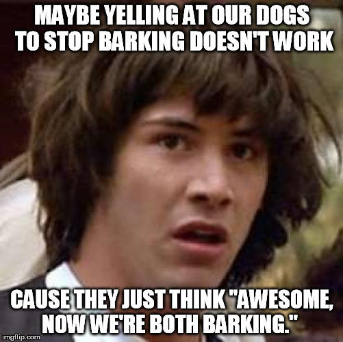 Conspiracy Keanu | MAYBE YELLING AT OUR DOGS TO STOP BARKING DOESN'T WORK CAUSE THEY JUST THINK "AWESOME, NOW WE'RE BOTH BARKING." | image tagged in memes,conspiracy keanu | made w/ Imgflip meme maker