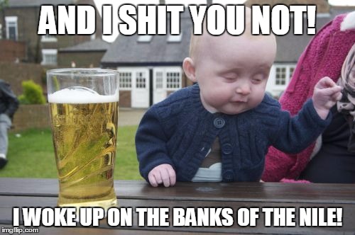 Drunk Baby | AND I SHIT YOU NOT! I WOKE UP ON THE BANKS OF THE NILE! | image tagged in memes,drunk baby | made w/ Imgflip meme maker