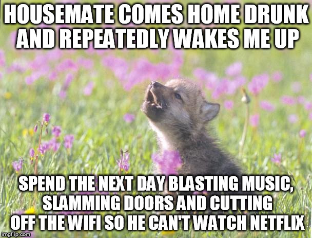 Baby Insanity Wolf | HOUSEMATE COMES HOME DRUNK AND REPEATEDLY WAKES ME UP SPEND THE NEXT DAY BLASTING MUSIC, SLAMMING DOORS AND CUTTING OFF THE WIFI SO HE CAN'T | image tagged in memes,baby insanity wolf | made w/ Imgflip meme maker