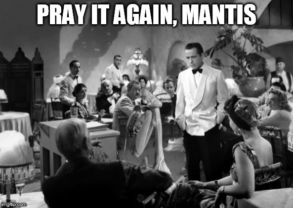 Casablanca | PRAY IT AGAIN, MANTIS | image tagged in casablanca mantis,memes,praying mantis | made w/ Imgflip meme maker