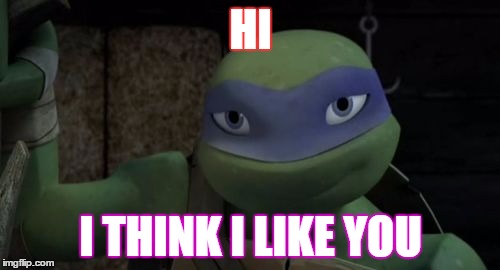 HI I THINK I LIKE YOU | image tagged in love | made w/ Imgflip meme maker