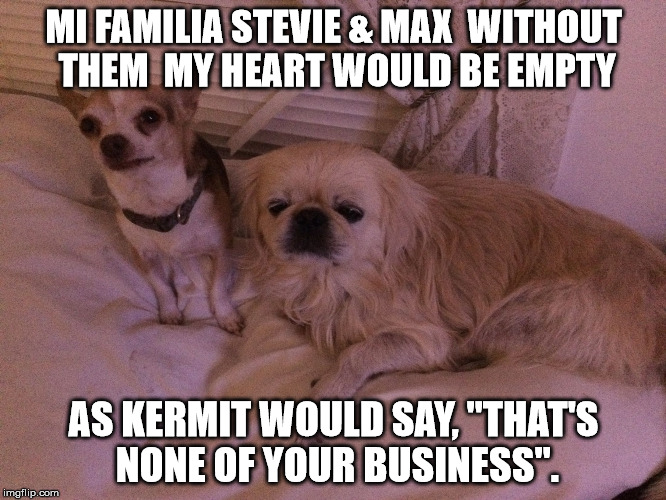 MI FAMILIASTEVIE & MAX WITHOUT THEM MY HEART WOULD BE EMPTY AS KERMIT WOULD SAY, "THAT'S NONE OF YOUR BUSINESS". | image tagged in stevie  max | made w/ Imgflip meme maker