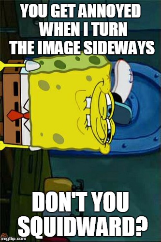 Don't You Squidward Meme | YOU GET ANNOYED  WHEN I TURN THE IMAGE SIDEWAYS DON'T YOU SQUIDWARD? | image tagged in memes,dont you squidward,scumbag | made w/ Imgflip meme maker