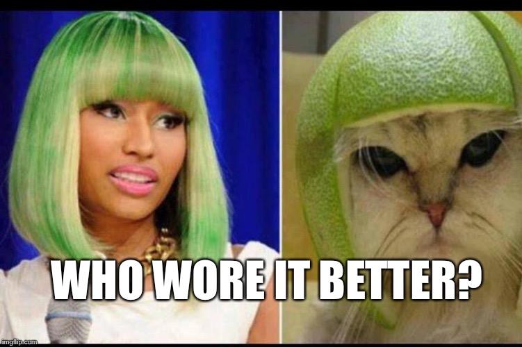 People Magazine Should Run THIS One... | WHO WORE IT BETTER? | image tagged in memes,nicki minaj,cats,lol | made w/ Imgflip meme maker