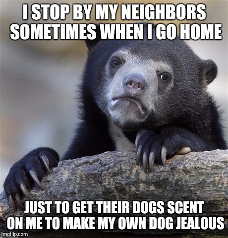 Confession Bear | I STOP BY MY NEIGHBORS SOMETIMES WHEN I GO HOME JUST TO GET THEIR DOGS SCENT ON ME TO MAKE MY OWN DOG JEALOUS | image tagged in memes,confession bear | made w/ Imgflip meme maker